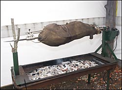 Mis Piggy on the spit