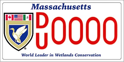 DU license plate